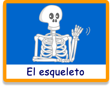 Los huesos - Nuestro Cuerpo - Juegos - Juegos educativos en español, JuegosArcoiris
