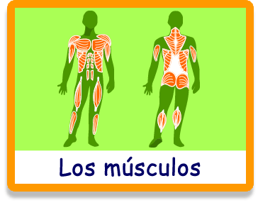 Resultado de imagen de juegos musculos online